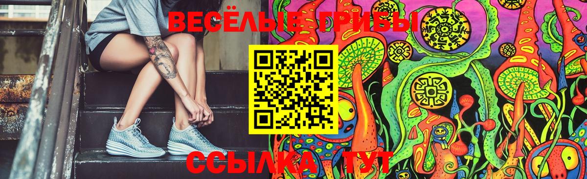 Галлюциногенные грибы прущие грибы Лесной