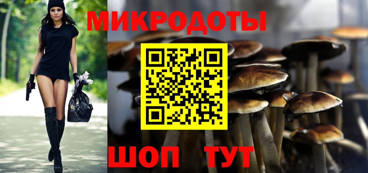 Галлюциногенные грибы Magic Shrooms  Вход с VPN  Лесной 